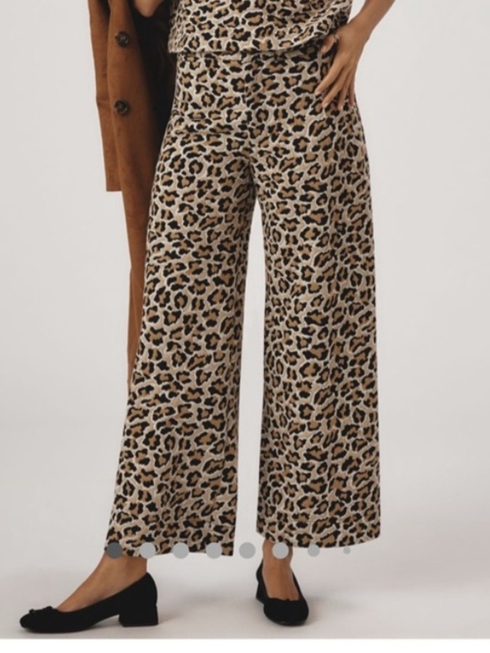 Anthropologie Ettie Leopard Knit Crop Pants